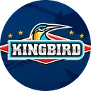 Logo de Kingbird, socio de Vesli